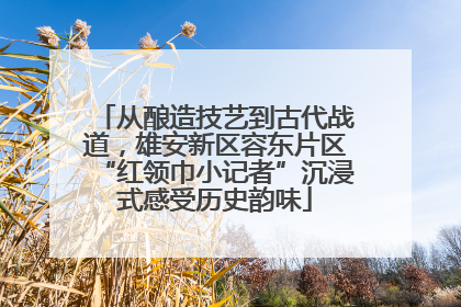 从酿造技艺到古代战道，雄安新区容东片区“红领巾小记者”沉浸式感受历史韵味
