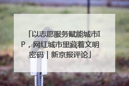 以志愿服务赋能城市IP，网红城市里藏着文明密码｜新京报评论