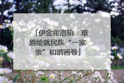 伊金霍洛镇：草原绘就民族“一家亲”和谐画卷