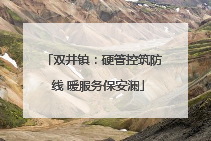双井镇：硬管控筑防线 暖服务保安澜