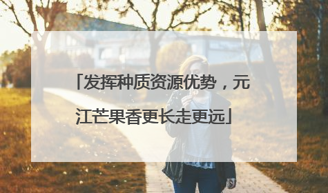 发挥种质资源优势，元江芒果香更长走更远