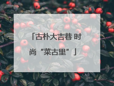 古朴大吉巷 时尚“菜古里”