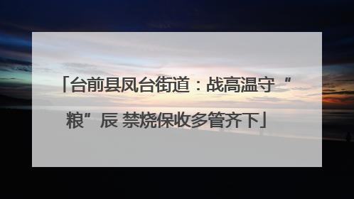 台前县凤台街道：战高温守“粮”辰 禁烧保收多管齐下