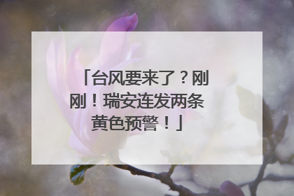 台风要来了？刚刚！瑞安连发两条黄色预警！