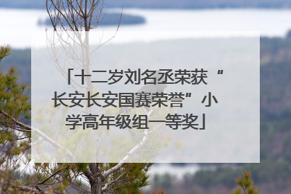 十二岁刘名丞荣获“长安长安国赛荣誉”小学高年级组一等奖