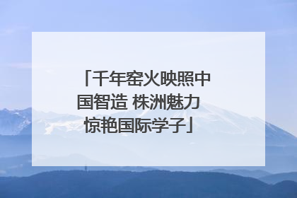 千年窑火映照中国智造 株洲魅力惊艳国际学子