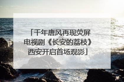 千年唐风再现荧屏 电视剧《长安的荔枝》西安开启首场观影
