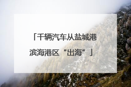 千辆汽车从盐城港滨海港区“出海”