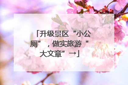 升级景区“小公厕”，做实旅游“大文章”→
