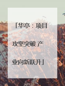 华亭：项目攻坚突破 产业向新跃升