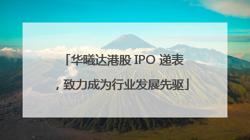 华曦达港股 IPO 递表，致力成为行业发展先驱