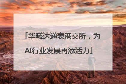 华曦达递表港交所，为AI行业发展再添活力