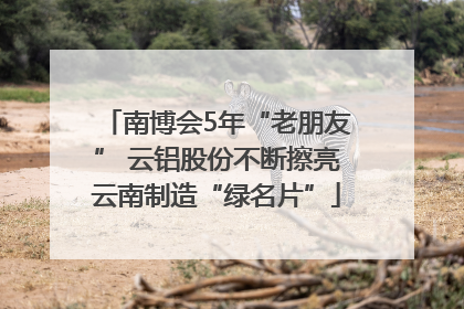 南博会5年“老朋友” 云铝股份不断擦亮云南制造“绿名片”