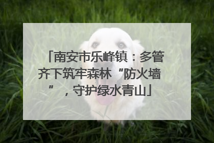 南安市乐峰镇：多管齐下筑牢森林“防火墙”，守护绿水青山