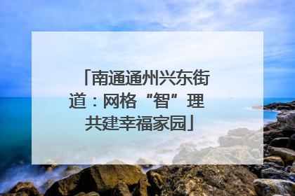 南通通州兴东街道：网格“智”理 共建幸福家园