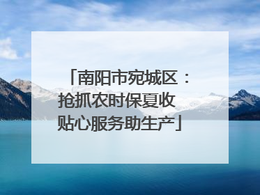 南阳市宛城区：抢抓农时保夏收 贴心服务助生产