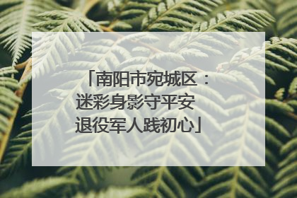 南阳市宛城区：迷彩身影守平安 退役军人践初心