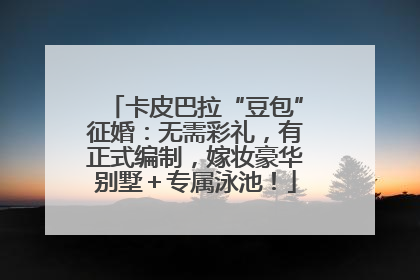 卡皮巴拉“豆包”征婚：无需彩礼，有正式编制，嫁妆豪华别墅＋专属泳池！