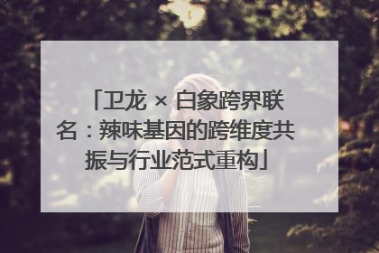 卫龙 × 白象跨界联名：辣味基因的跨维度共振与行业范式重构