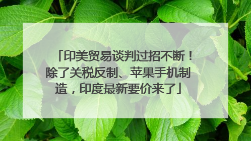 印美贸易谈判过招不断！除了关税反制、苹果手机制造，印度最新要价来了