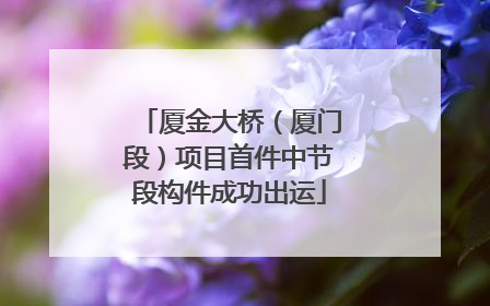 厦金大桥（厦门段）项目首件中节段构件成功出运
