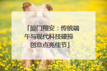 厦门翔安：传统端午与现代科技碰撞 创意点亮佳节