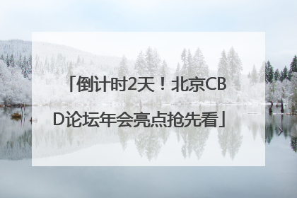 倒计时2天！北京CBD论坛年会亮点抢先看