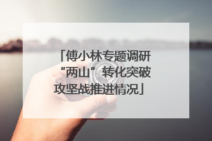 傅小林专题调研“两山”转化突破攻坚战推进情况