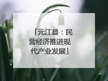 元江县：民营经济推进现代产业发展