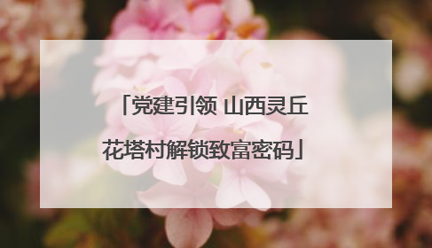 党建引领 山西灵丘花塔村解锁致富密码