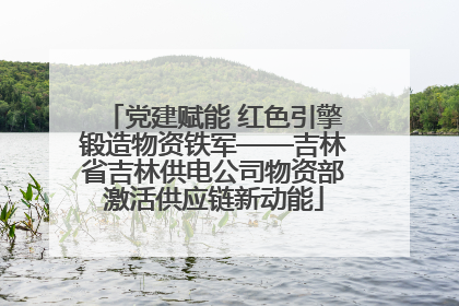 党建赋能 红色引擎锻造物资铁军——吉林省吉林供电公司物资部激活供应链新动能