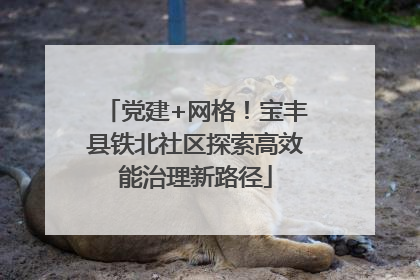 党建+网格！宝丰县铁北社区探索高效能治理新路径