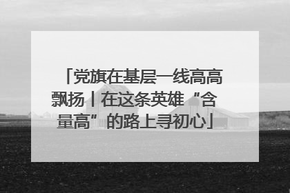党旗在基层一线高高飘扬丨在这条英雄“含量高”的路上寻初心