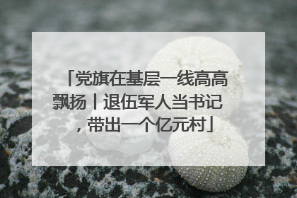 党旗在基层一线高高飘扬丨退伍军人当书记，带出一个亿元村