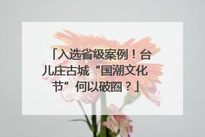 入选省级案例！台儿庄古城“国潮文化节”何以破圈？