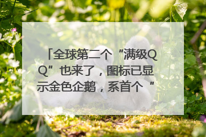 全球第二个“满级QQ”也来了，图标已显示金色企鹅，系首个“满级QQ”的小号