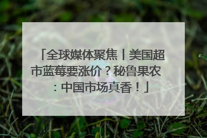 全球媒体聚焦丨美国超市蓝莓要涨价？秘鲁果农：中国市场真香！