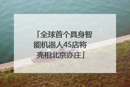全球首个具身智能机器人4S店将亮相北京亦庄