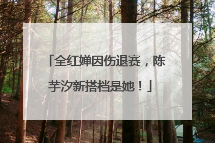全红婵因伤退赛，陈芋汐新搭档是她！