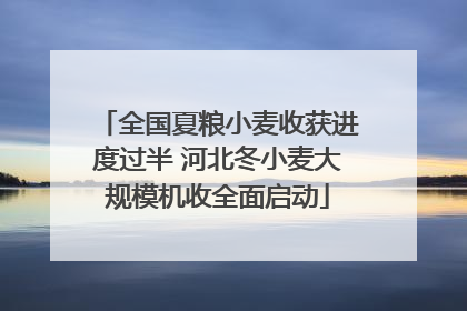 全国夏粮小麦收获进度过半 河北冬小麦大规模机收全面启动