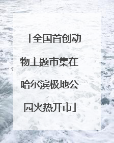 全国首创动物主题市集在哈尔滨极地公园火热开市