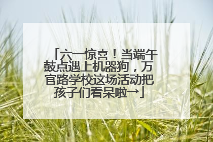 六一惊喜！当端午鼓点遇上机器狗，万官路学校这场活动把孩子们看呆啦→