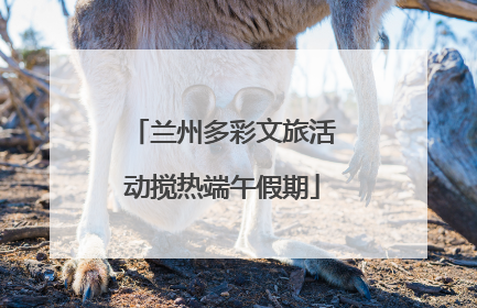 兰州多彩文旅活动搅热端午假期