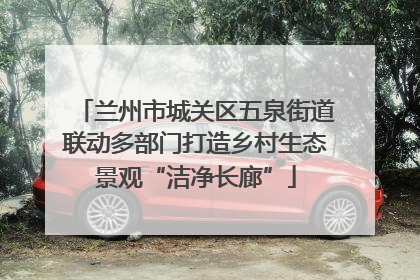 兰州市城关区五泉街道联动多部门打造乡村生态景观“洁净长廊”