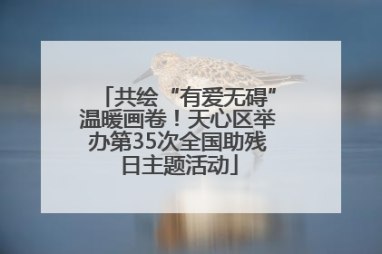 共绘“有爱无碍”温暖画卷！天心区举办第35次全国助残日主题活动