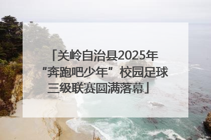 关岭自治县2025年“奔跑吧少年”校园足球三级联赛圆满落幕