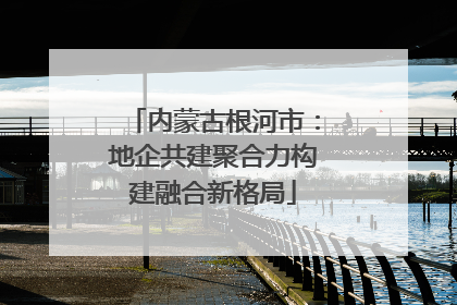 内蒙古根河市：地企共建聚合力构建融合新格局