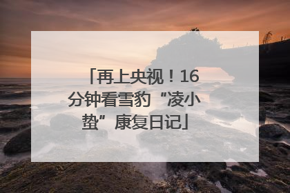 再上央视！16分钟看雪豹“凌小蛰”康复日记