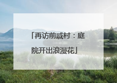 再访前戚村：庭院开出浪漫花