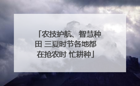 农技护航、智慧种田 三夏时节各地都在抢农时 忙耕种